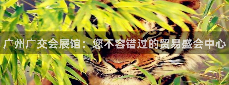 果博怎么注册账号：广州广交会展馆：您不容错过的贸易盛会中心