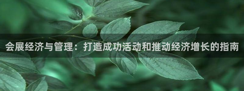 果博注册充值怎么退款：会展经济与管理：打造成功活动和推动经济增长的指南