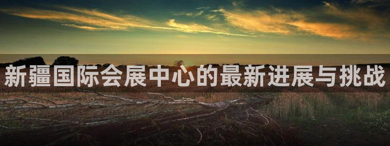 果博客服电话哪里找：新疆国际会展中心的最新进展与挑战