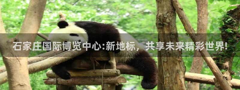 果博注册链接：石家庄国际博览中心:新地标，共享未来精彩世界!