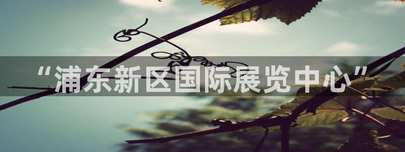 果博东官方网站怎么下载：“浦东新区国际展览中心”