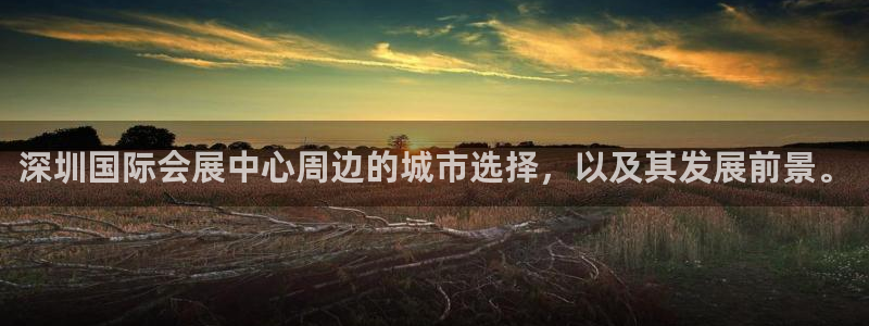 果博注册平台怎么注册不了：深圳国际会展中心周边的城市选择，以及其发展前景。