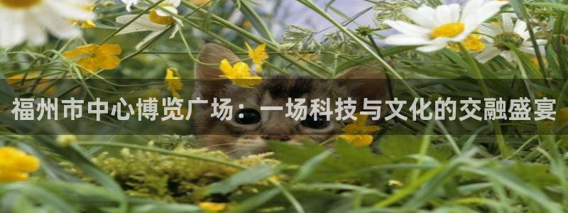 果博官网：福州市中心博览广场：一场科技与文化的交融盛宴