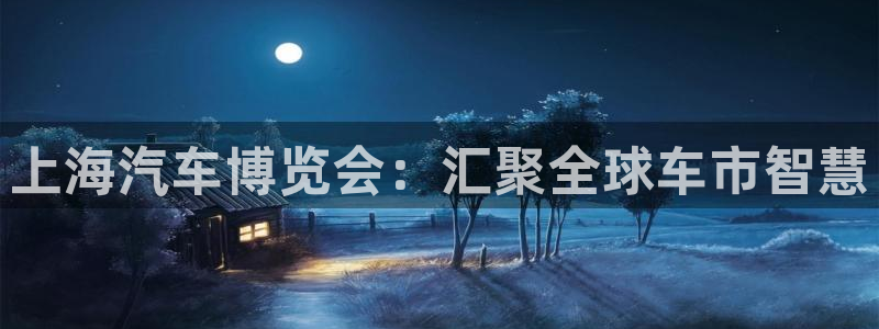 果博平台真实吗安全吗是真的吗：上海汽车博览会：汇聚全球车市智慧