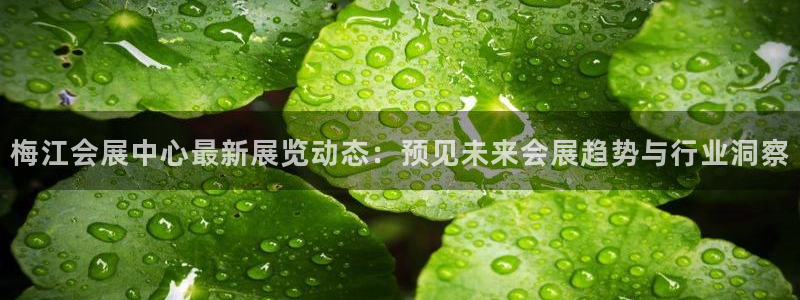 果博上分电话：梅江会展中心最新展览动态：预见未来会展趋势与行业洞察