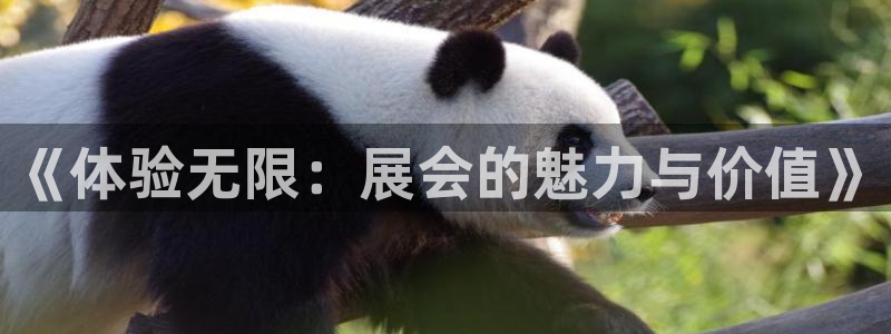 果博代理电话多少号码：《体验无限：展会的魅力与价值》