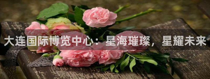 果博公司会员怎么开户：大连国际博览中心：星海璀璨，